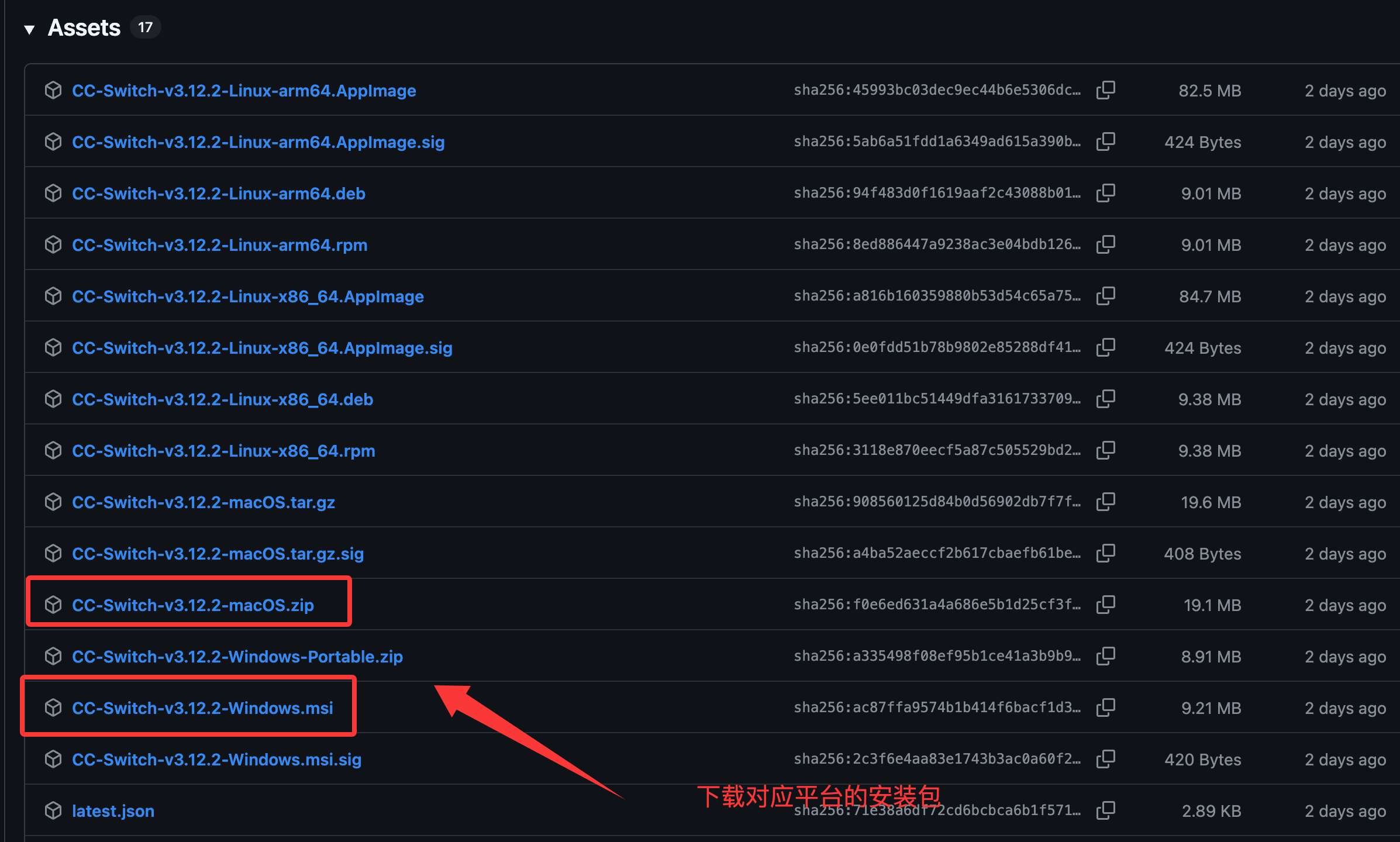 CC Switch 发布页下载示意